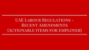 Employment Lawyer Dubai