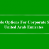 Available Options For Corporate Set Up – United Arab Emirates